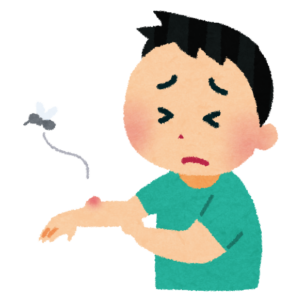虫刺されのあと、かゆみが広がるのはなぜ？体質から考える漢方相談